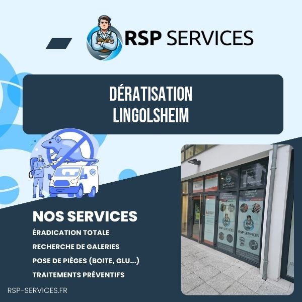 Dératisation Lingolsheim - RSP Services