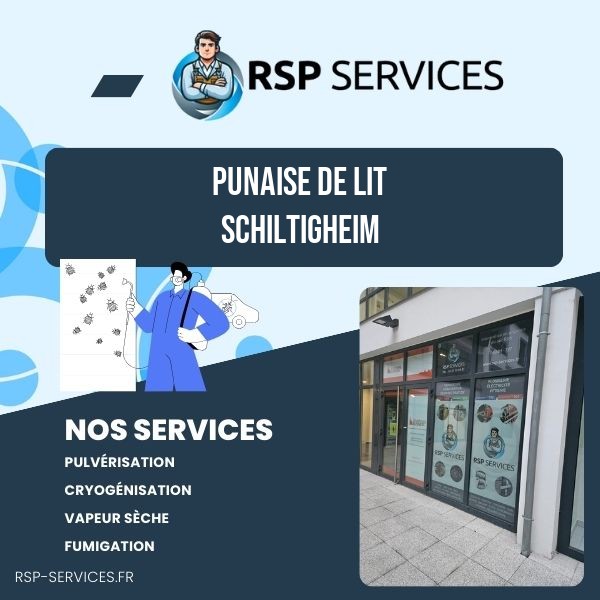 Punaise de lit Schiltigheim - RSP Services