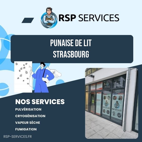 Punaise de lit Strasbourg - RSP Services