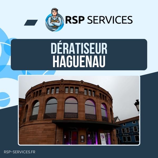 Dératisation Haguenau