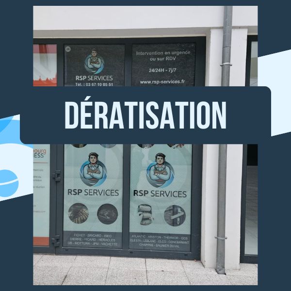 Dératisation Grand Est - RSP Services