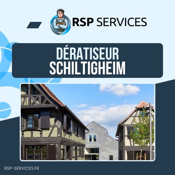 Dératisation Schiltigheim