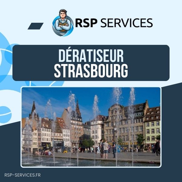 Dératisation Strasbourg