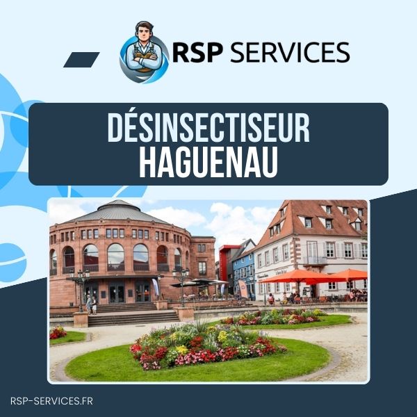 Désinsectisation Haguenau