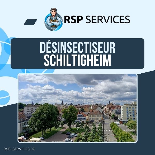 Désinsectisation Schiltigheim