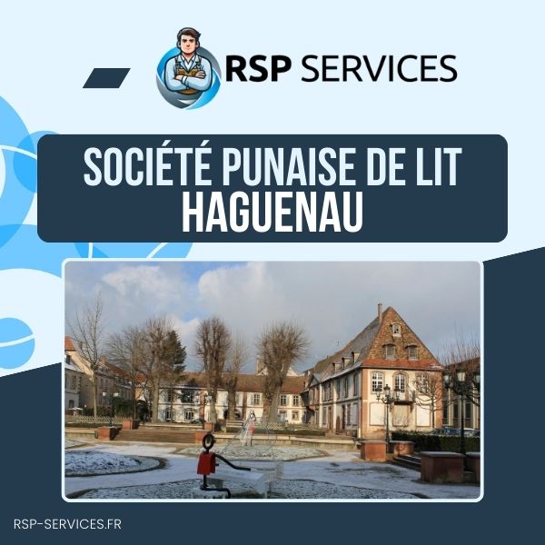 Punaise de lit Haguenau