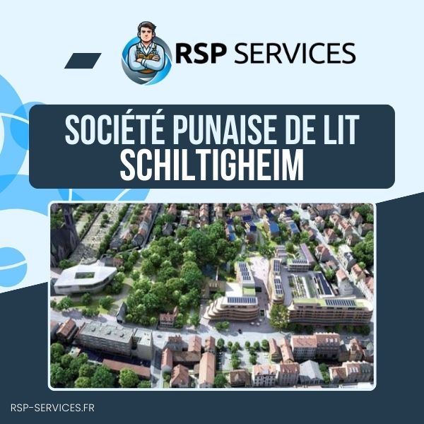 Punaise de lit Schiltigheim